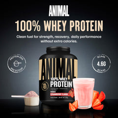 Animal 100% Whey Strawberry scoop dispense highlights quick protein boost after workouts.