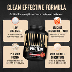 Animal 100% Whey Strawberry texture close-up shows creamy consistency.