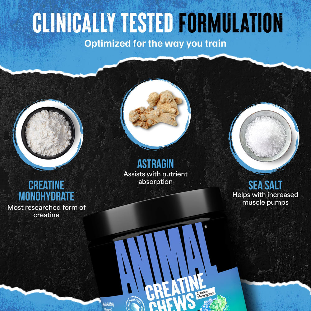 Compact tub inside a gym bag for travel-friendly supplementation.
