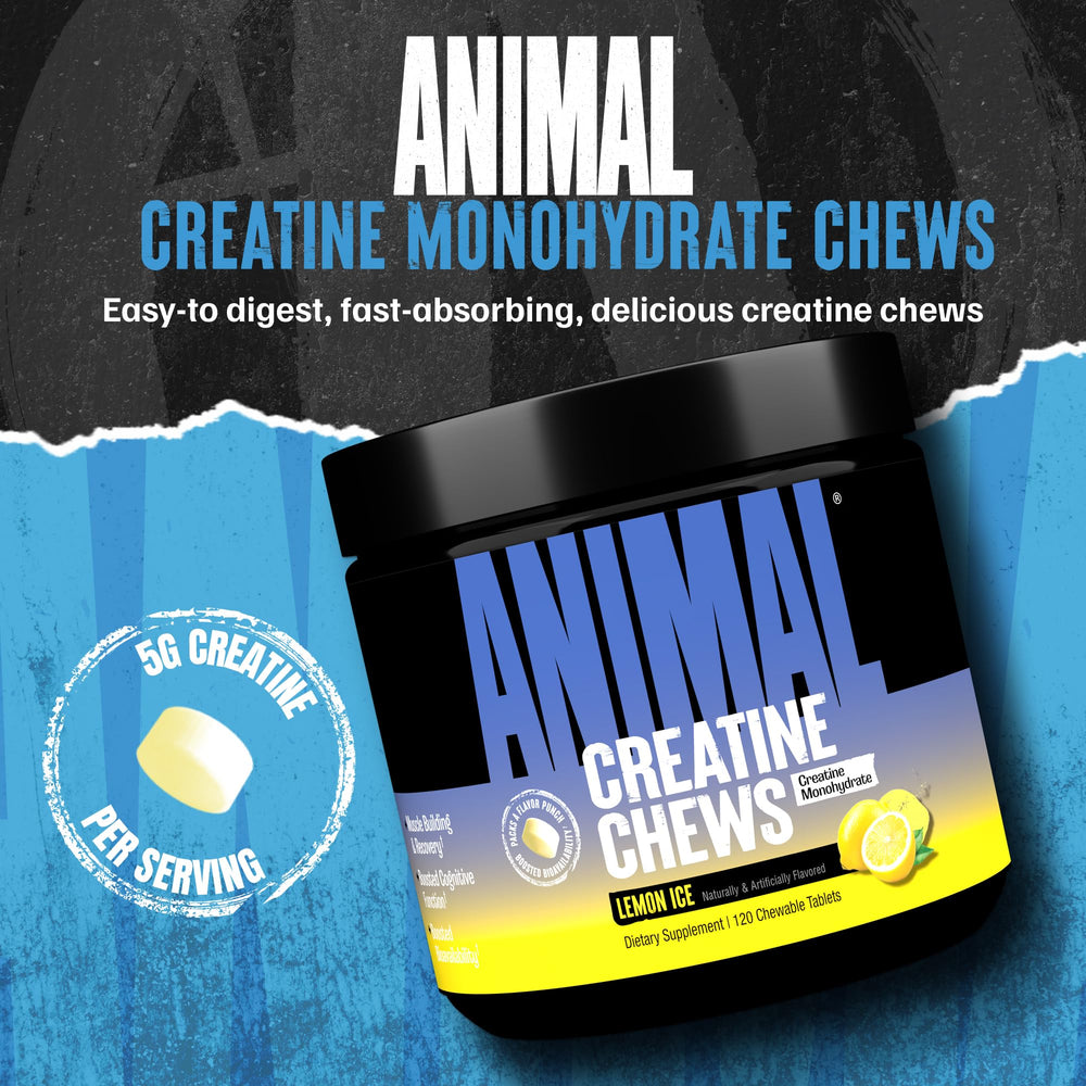 Animal Creatine Chews Lemon Ice tablets ready for pre- or post-workout fueling.