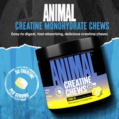 Animal Creatine Chews Lemon Ice tablets ready for pre- or post-workout fueling.