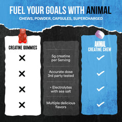 Animal Creatine Chews on-the-go packaging for athletes.