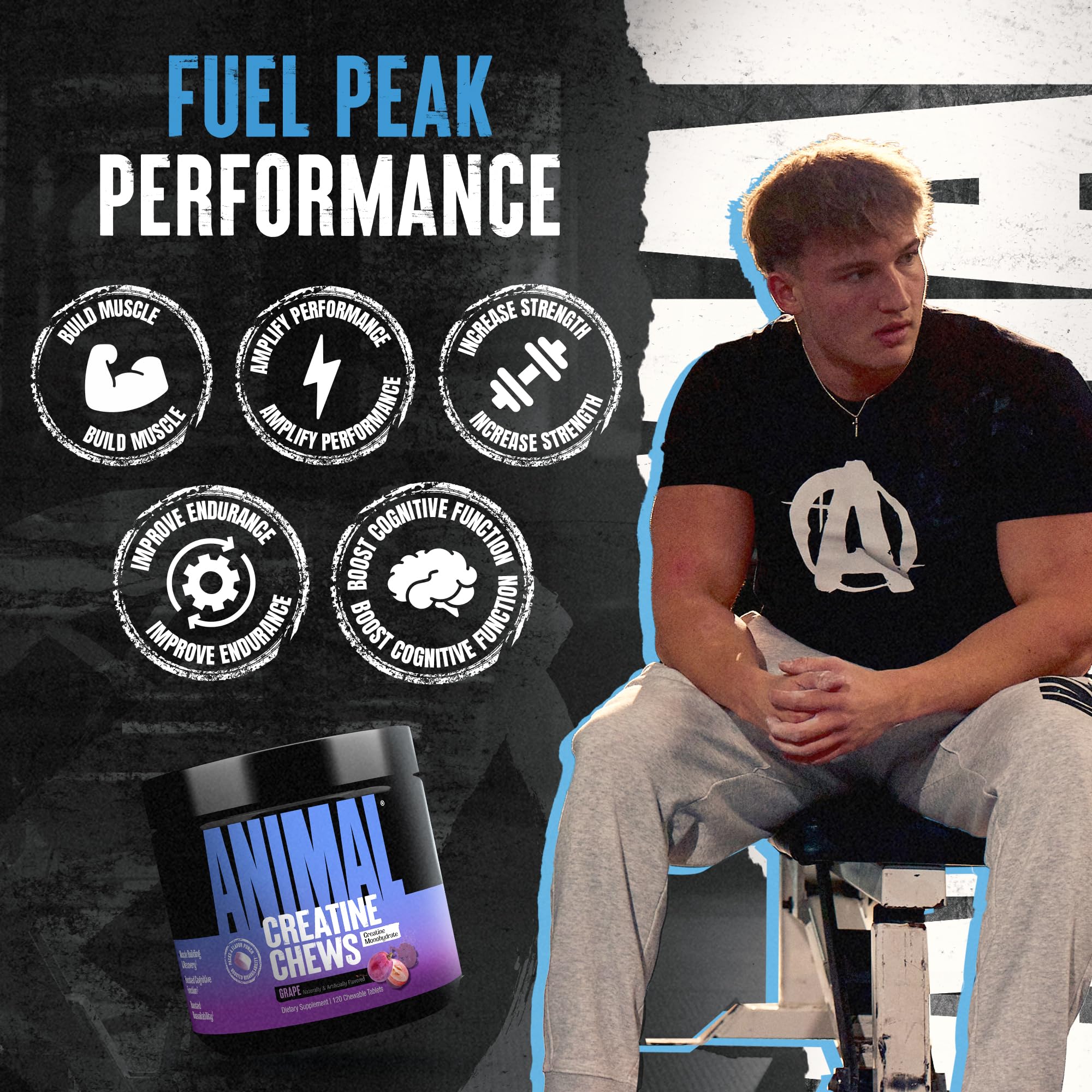 Animal Creatine Chews with sea salt to support hydration during training.