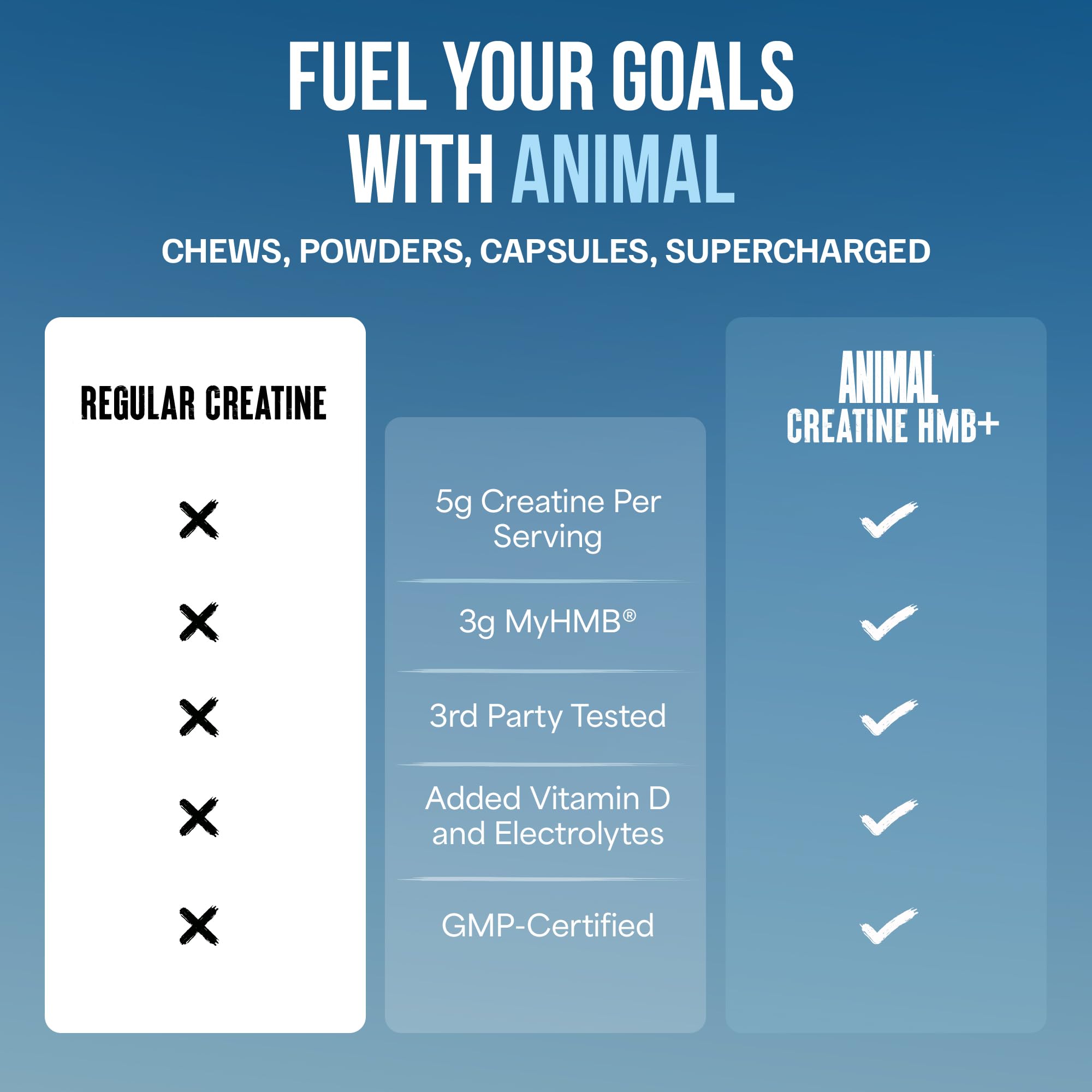 Animal Creatine HMB Powder electrolytes support hydration during training and mineral replenishment.