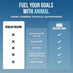 Animal Creatine HMB Powder flavor Power Punch with refreshing fruit punch vibe.