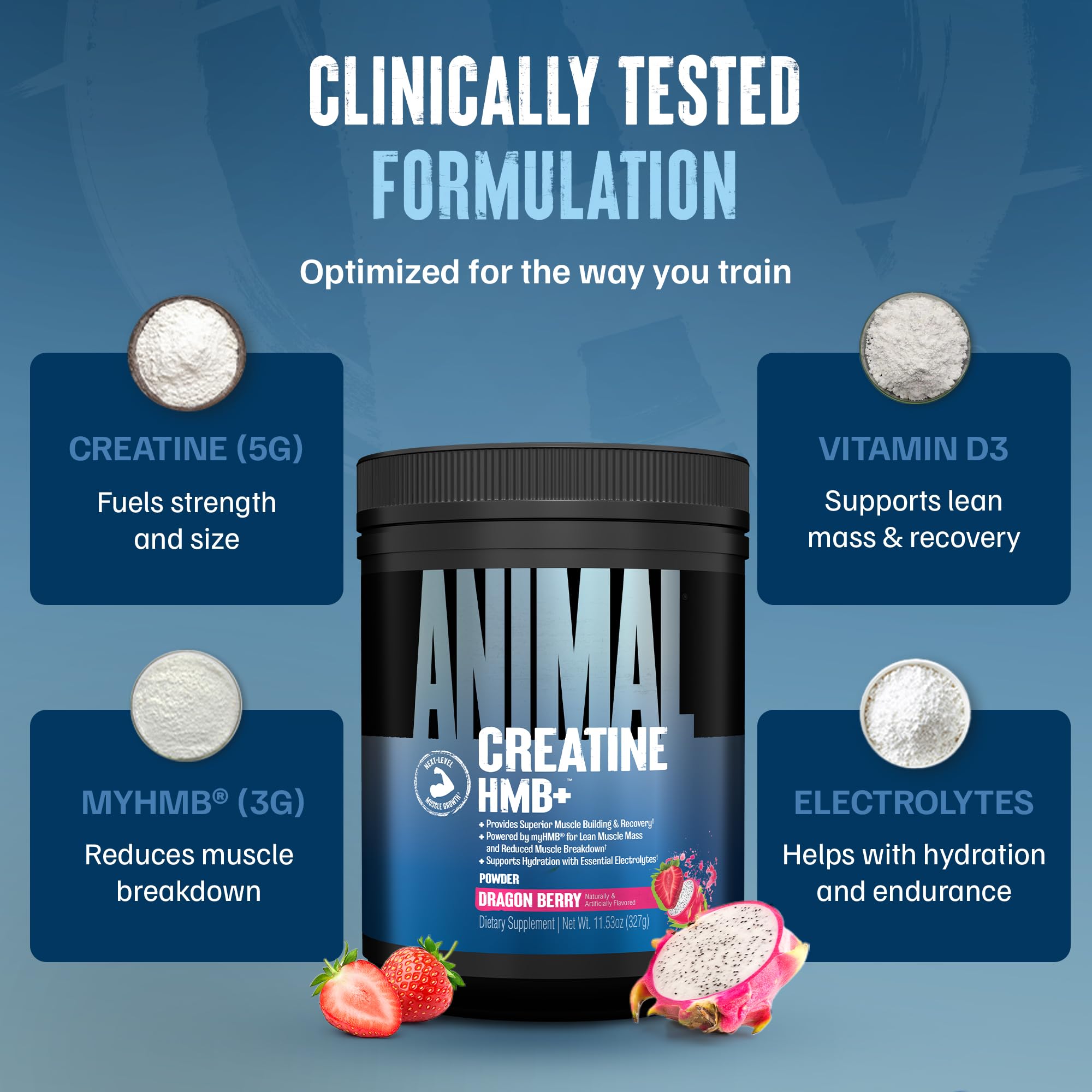 Animal Creatine HMB Powder in gym bottle ready for post-workout recovery.