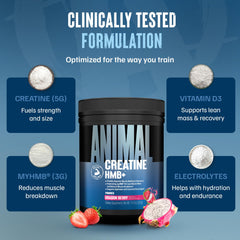 Animal Creatine HMB Powder in gym bottle ready for post-workout recovery.