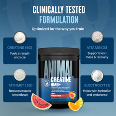 Animal Creatine HMB Powder label close-up highlighting GMP quality and Vitamin D.