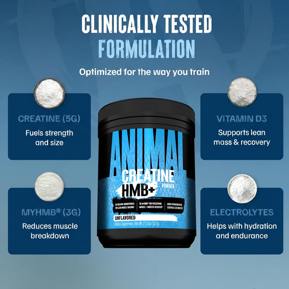 Scoop of Animal Creatine HMB Powder beside tub