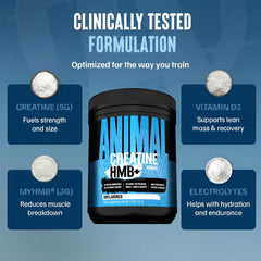 Scoop of Animal Creatine HMB Powder beside tub