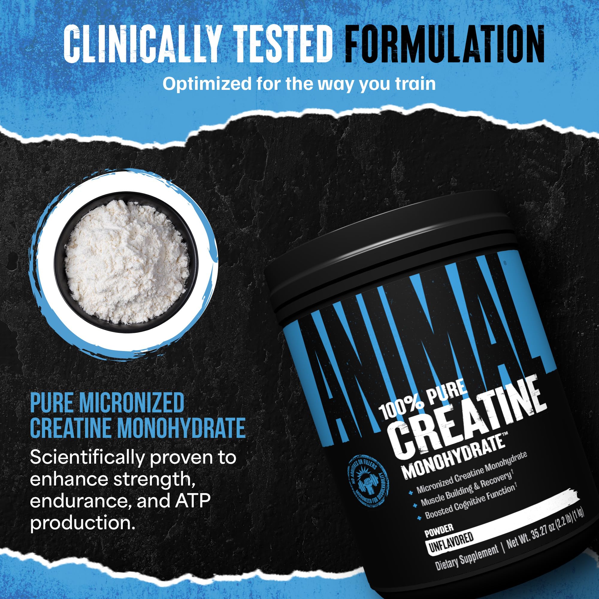 Pouring Animal Creatine Monohydrate powder into a glass