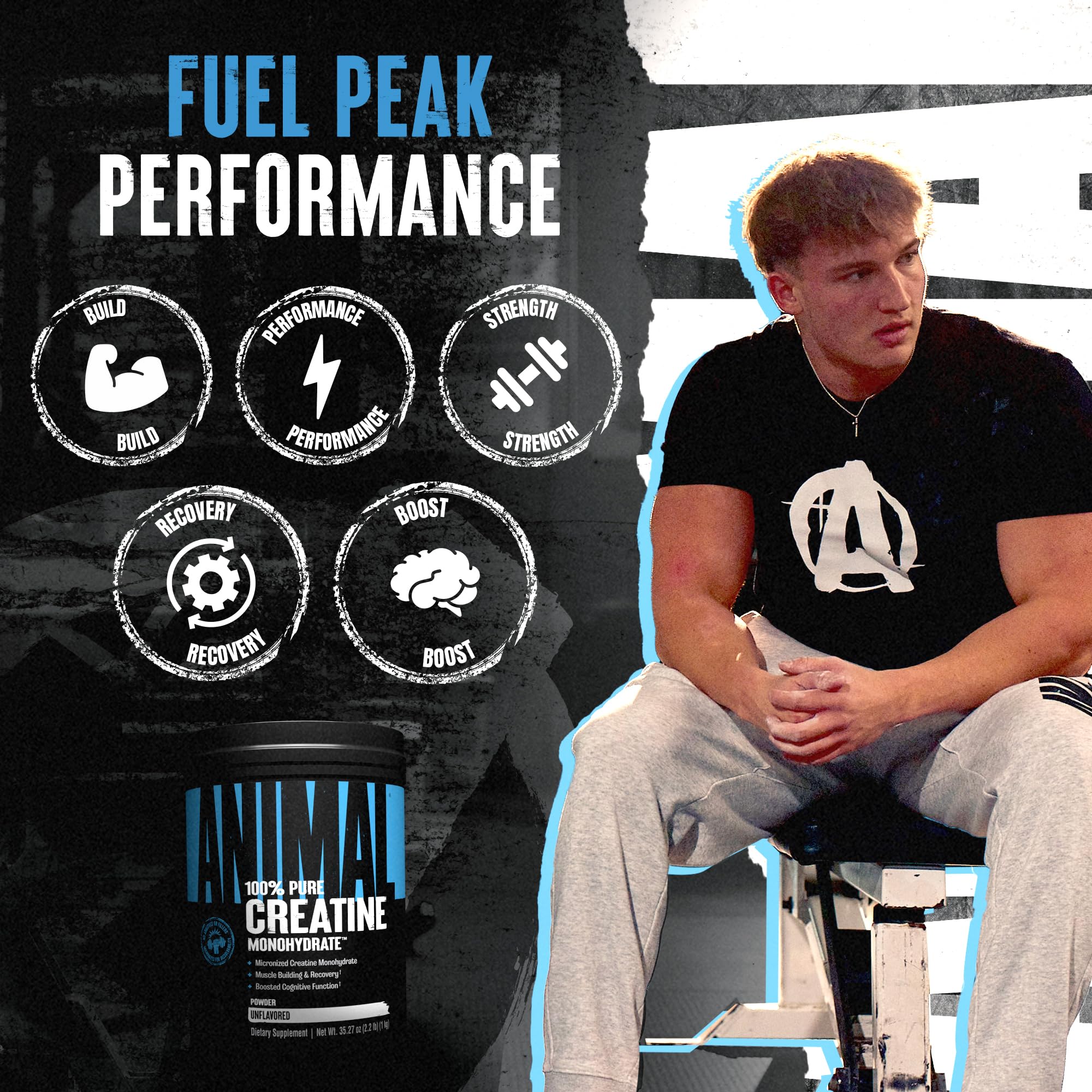 Animal Creatine Monohydrate powder mixing in a shaker
