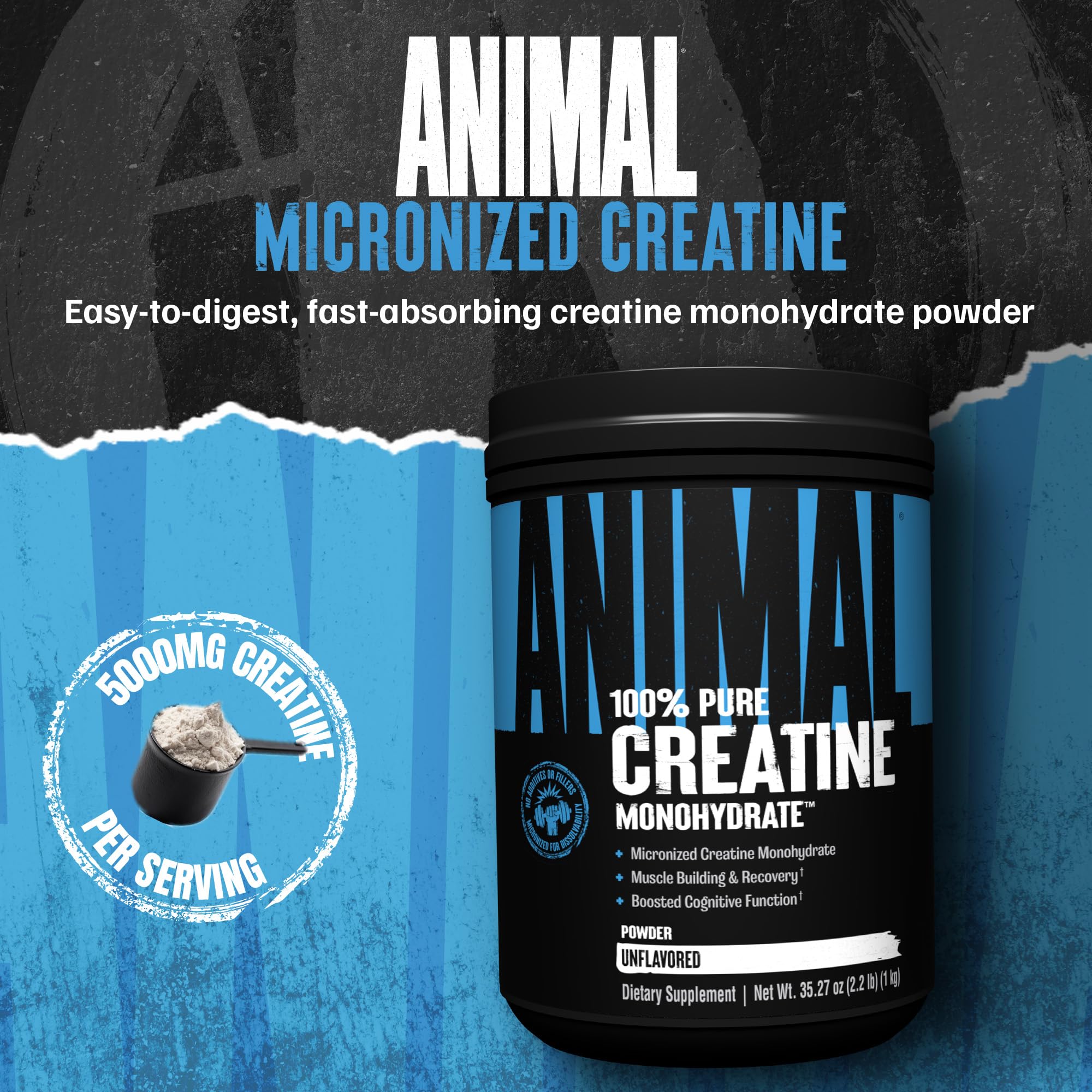 Animal Creatine Monohydrate powder scoop for precise 5 g servings