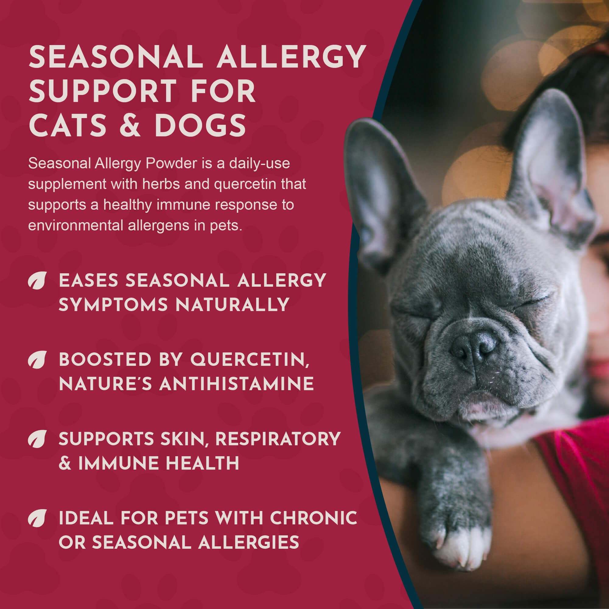 Animal Essentials Quercetin Powder label with simple daily usage tips.