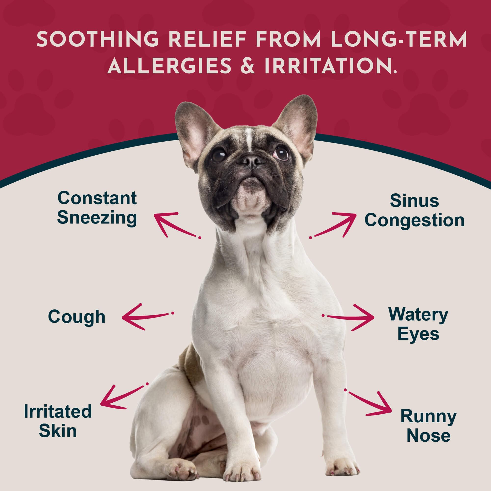 Animal Essentials Seasonal Allergy Powder scoop for easy daily dosing and consistency.