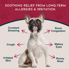 Animal Essentials Seasonal Allergy Powder scoop for easy daily dosing and consistency.