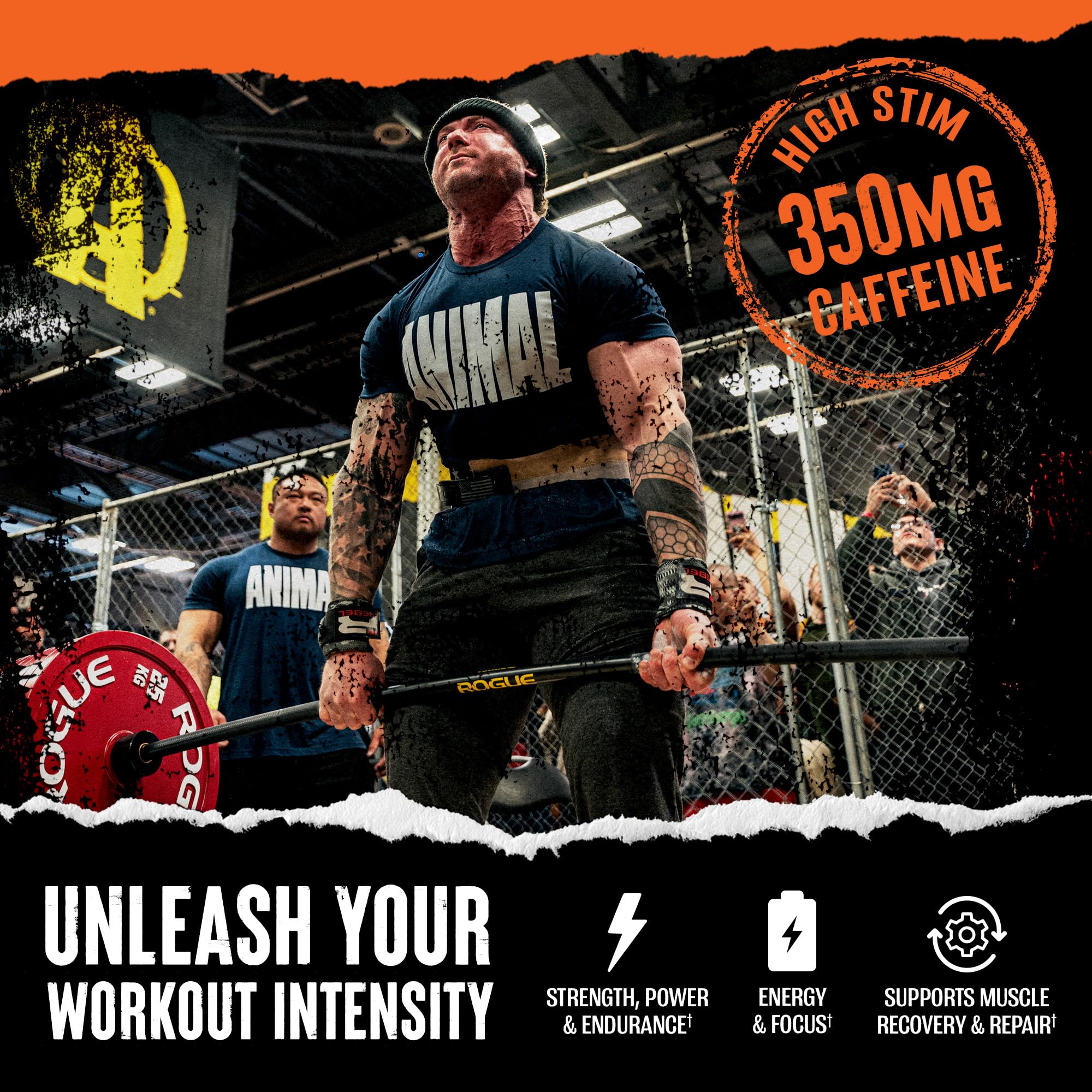 Athlete using Animal Fury pre-workout before intense training.