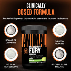 Animal Fury kiwi lime mixing image shows smooth blend with 12 oz water.