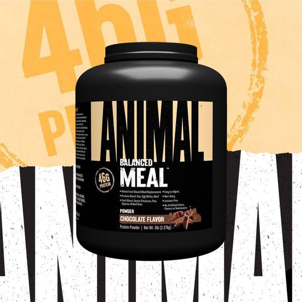 Animal Meal chocolate shake in glass offers convenient on-the-go nutrition