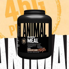 Animal Meal chocolate shake in glass offers convenient on-the-go nutrition