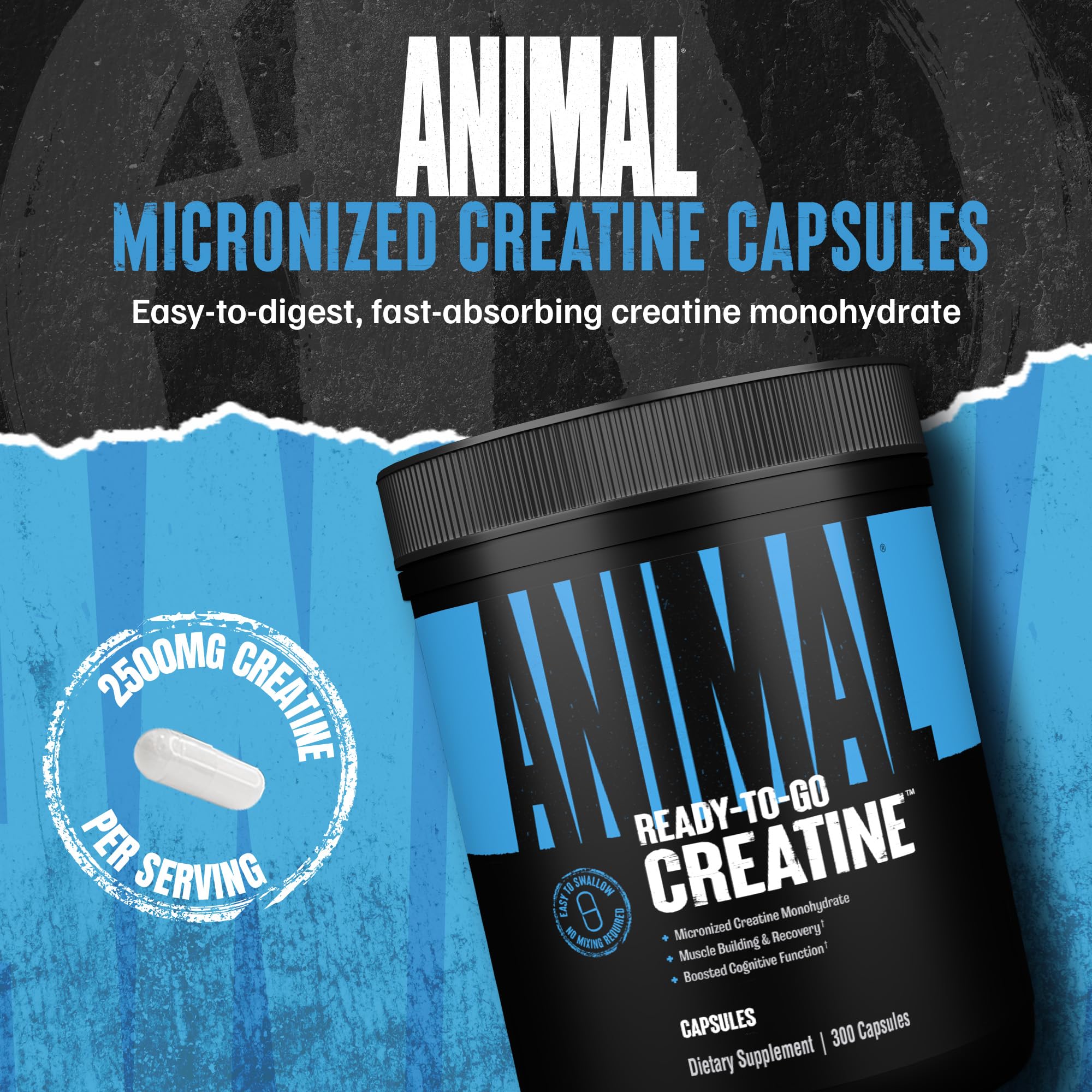 Animal Micronized Creatine Capsules packaging highlighting purity and quality for reliable workouts