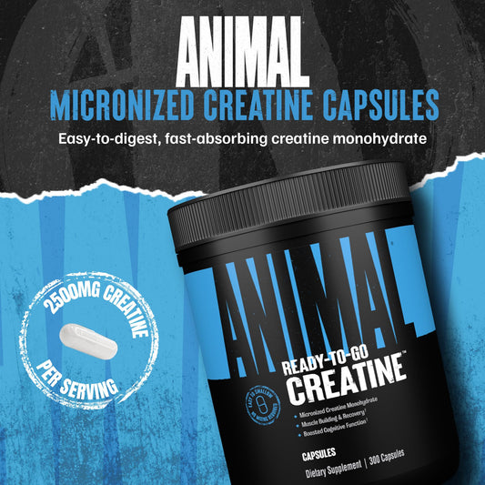 Animal Micronized Creatine Capsules packaging highlighting purity and quality for reliable workouts