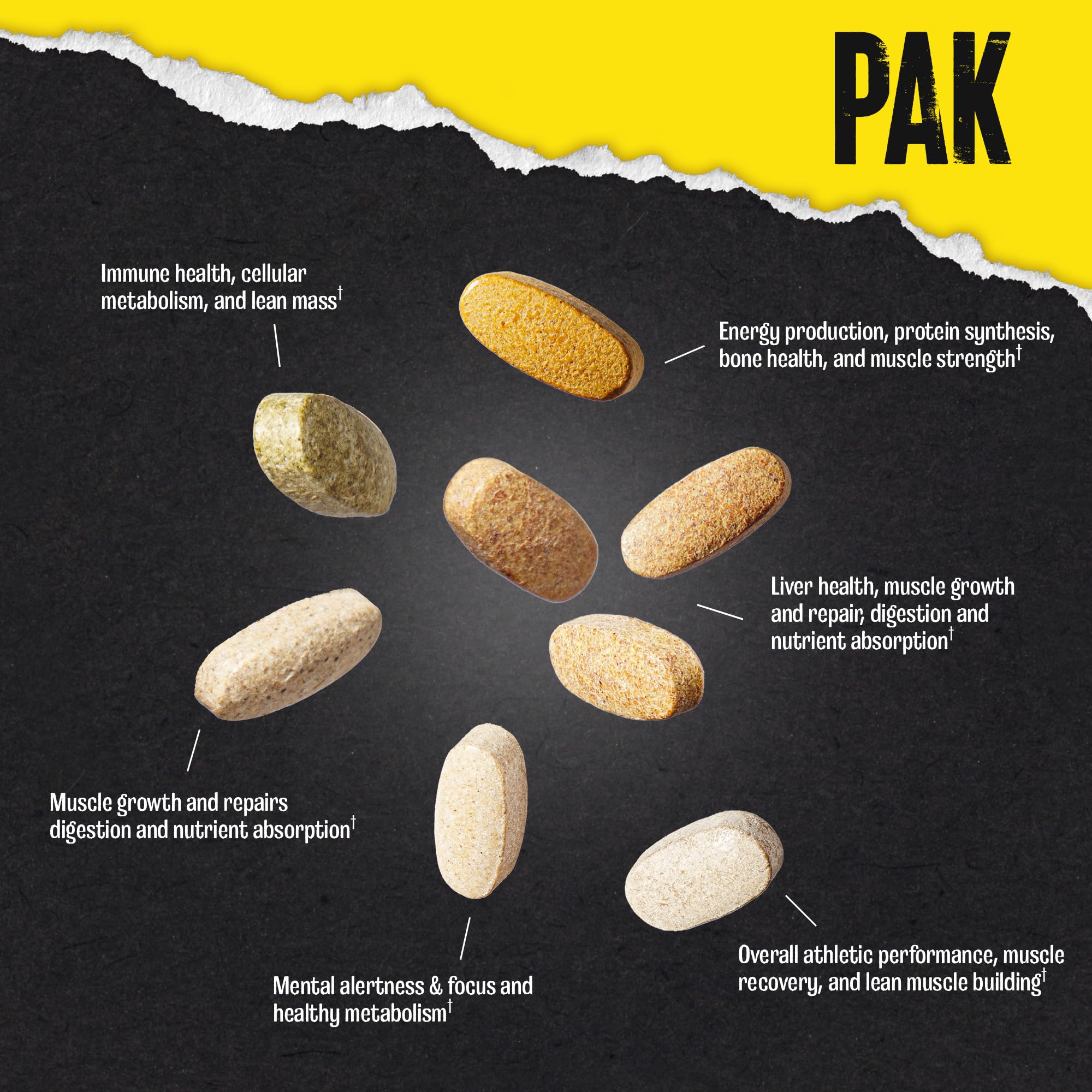 Animal Pak performance-support context illustrates stronger stamina and focus during training.