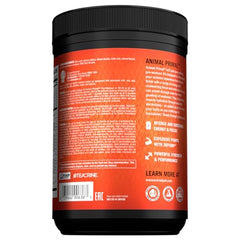Animal Primal scoop over a shaker, illustrating easy prep