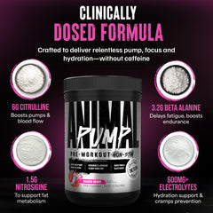 Animal Pump Non-Stim electrolyte panel emphasizes hydration during intense training.