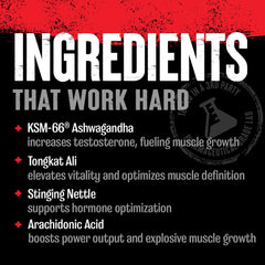 Animal Test lab-tested seal reinforces safety and quality standards.