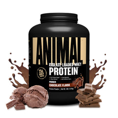 Animal Whey Isolate chocolate powder canister showcasing premium protein for workouts