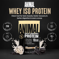 Digestive enzymes in Animal Whey Isolate aid digestion and absorption.
