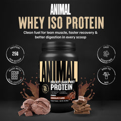 Animal Whey Isolate scoop dispensing for easy pre-workout fueling.
