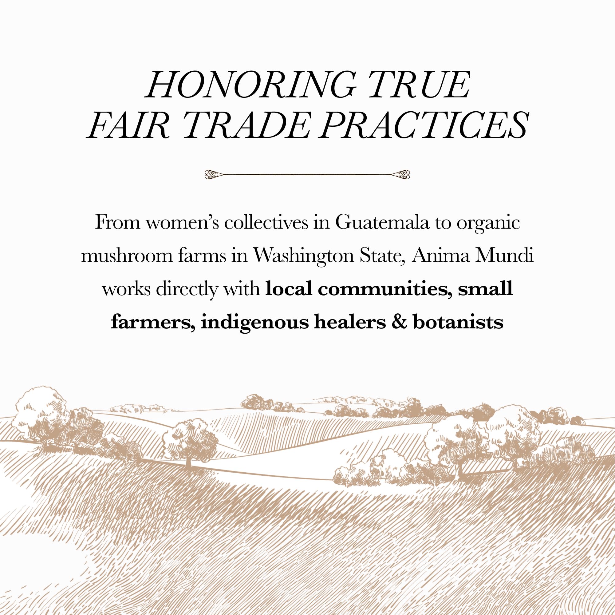 Anima Mundi Soma production process illustration emphasizes careful crafting by herbalists.