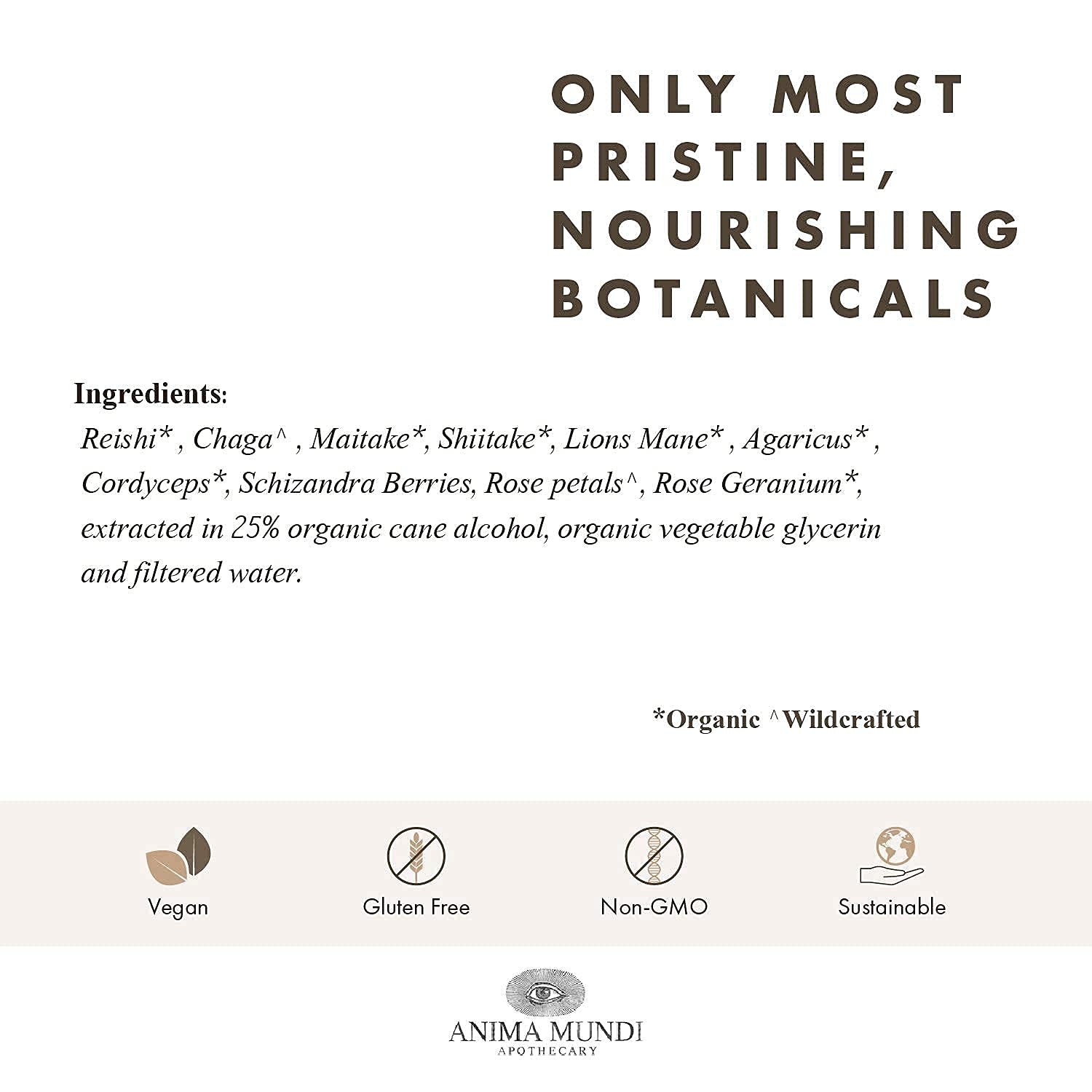 Anima Mundi Soma Washington-grown chaga and mushrooms highlight sustainable sourcing.