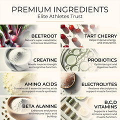 Beetroot and tart cherry ingredients illustration highlighting stamina support