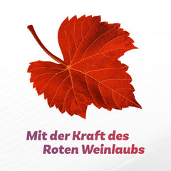 Antistax Red Vine Leaf extract close-up highlights a natural plant-based option for daily wellness