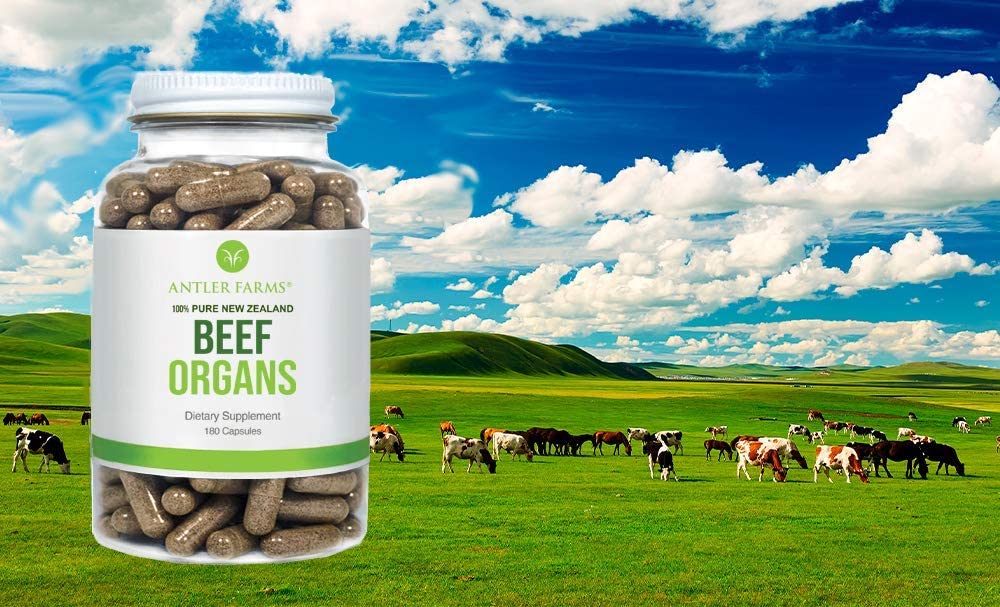 Antler Farms Beef Organs capsules closeup, freeze-dried texture preserved.