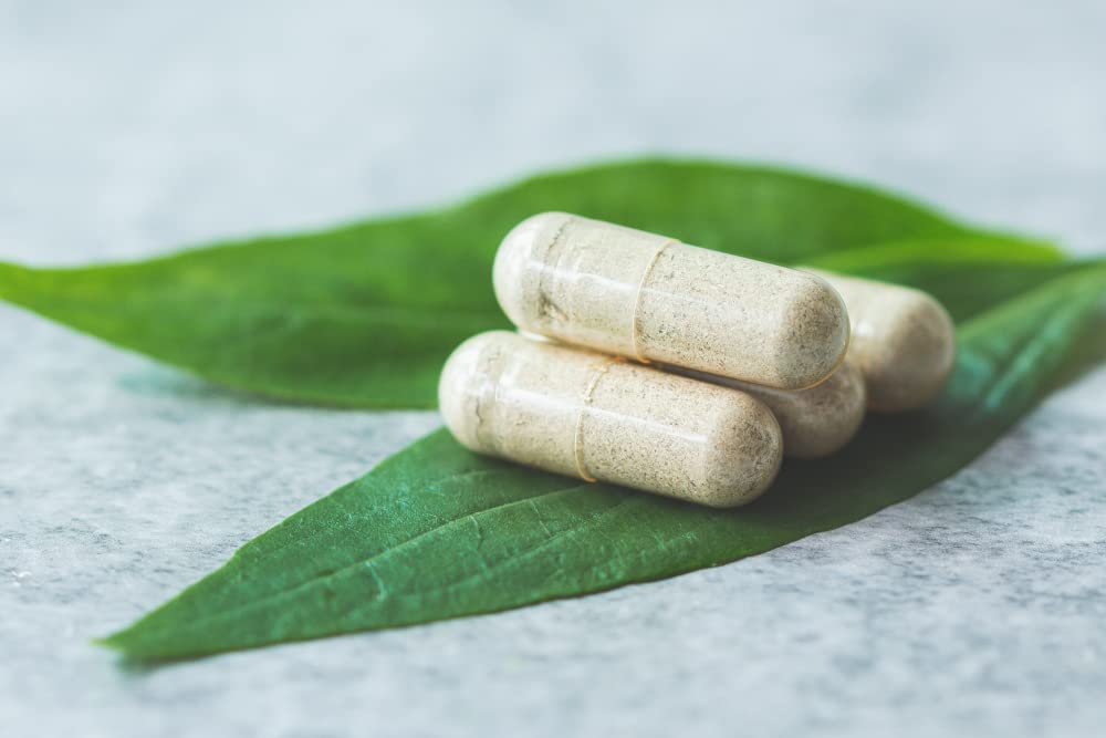Antler Farms bone marrow matrix closeup reveals nutrient-dense texture.