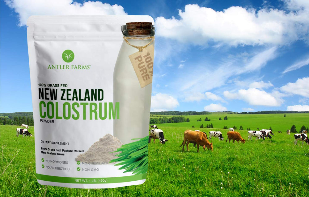 Colostrum undergoing cold processing to preserve nutrients.