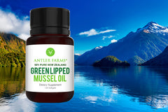 Antler Farms rope-grown mussels symbolizing sustainable aquaculture