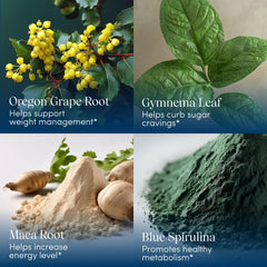 Apothékary Blue Burn Drops blue spirulina visual emphasizing antioxidant-rich formula.