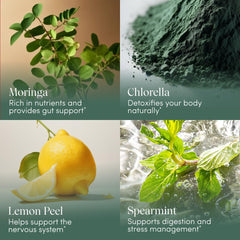 Apothekary Wildest Greens Drops ingredients: moringa, chlorella, spirulina for nutrients.
