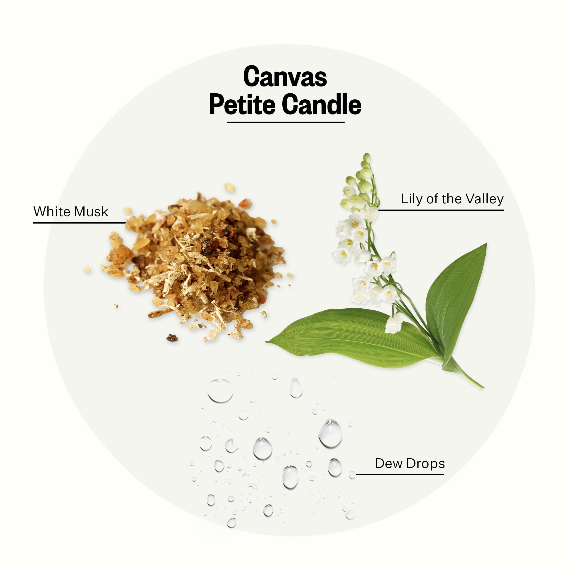APOTHEKE Canvas Petite Candle 5 oz size with burn-ready packaging for gifting.