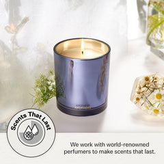 APOTHEKE Cardamom Chestnut candle in blue jar is gift-ready for occasions.