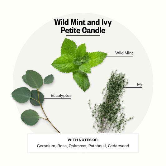 Close-up of APOTHEKE fragrance oil blend with mint and ivy notes.