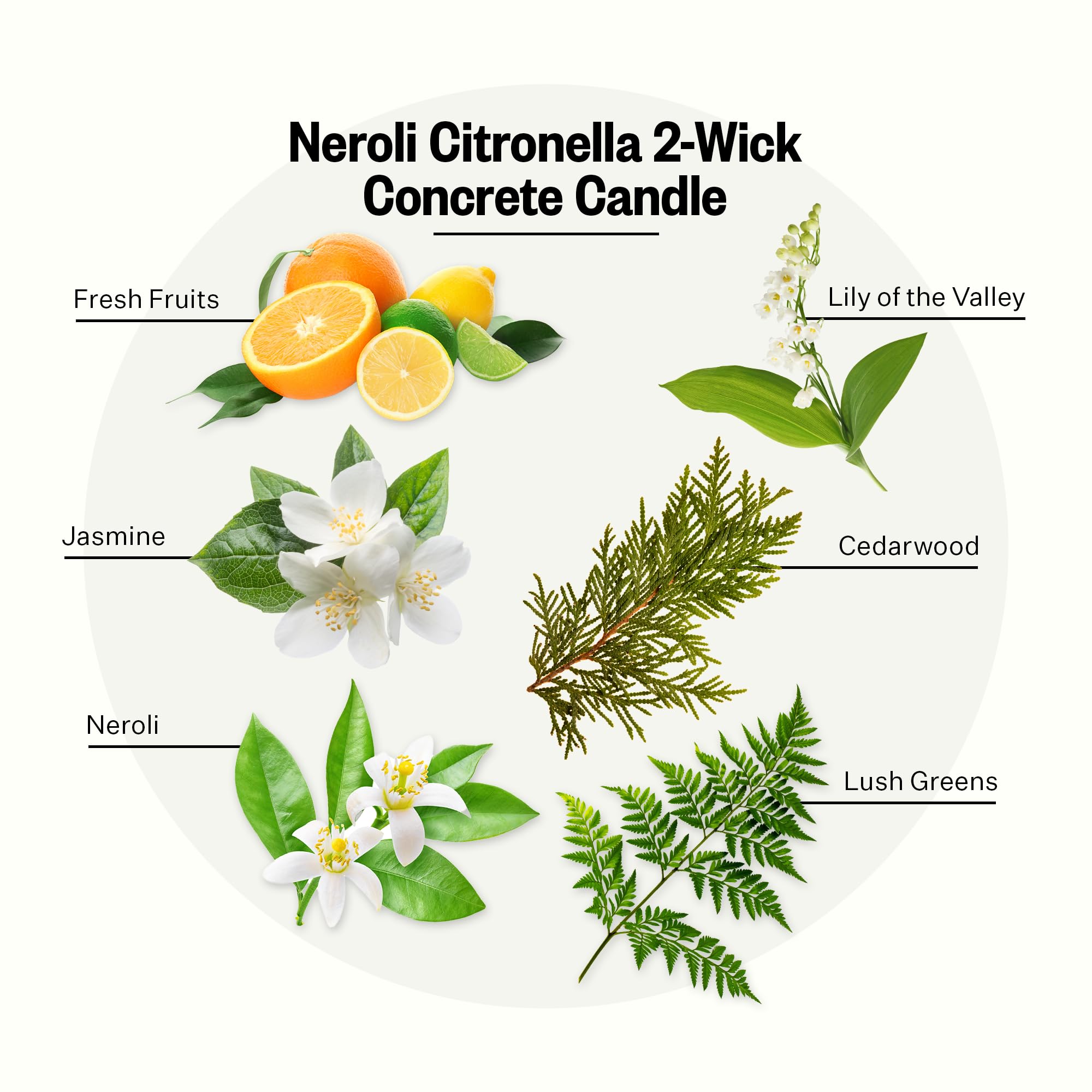 APOTHEKE Neroli Citronella fragrance notes graphic highlighting neroli and jasmine.