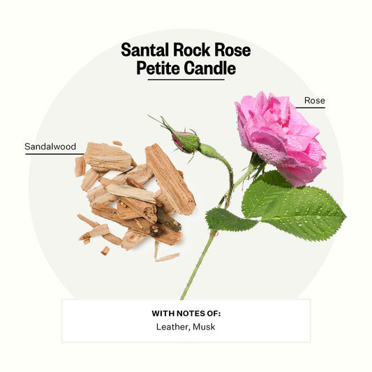APOTHEKE Santal Rock Rose Petite Candle wax closeup showing the rich soy blend