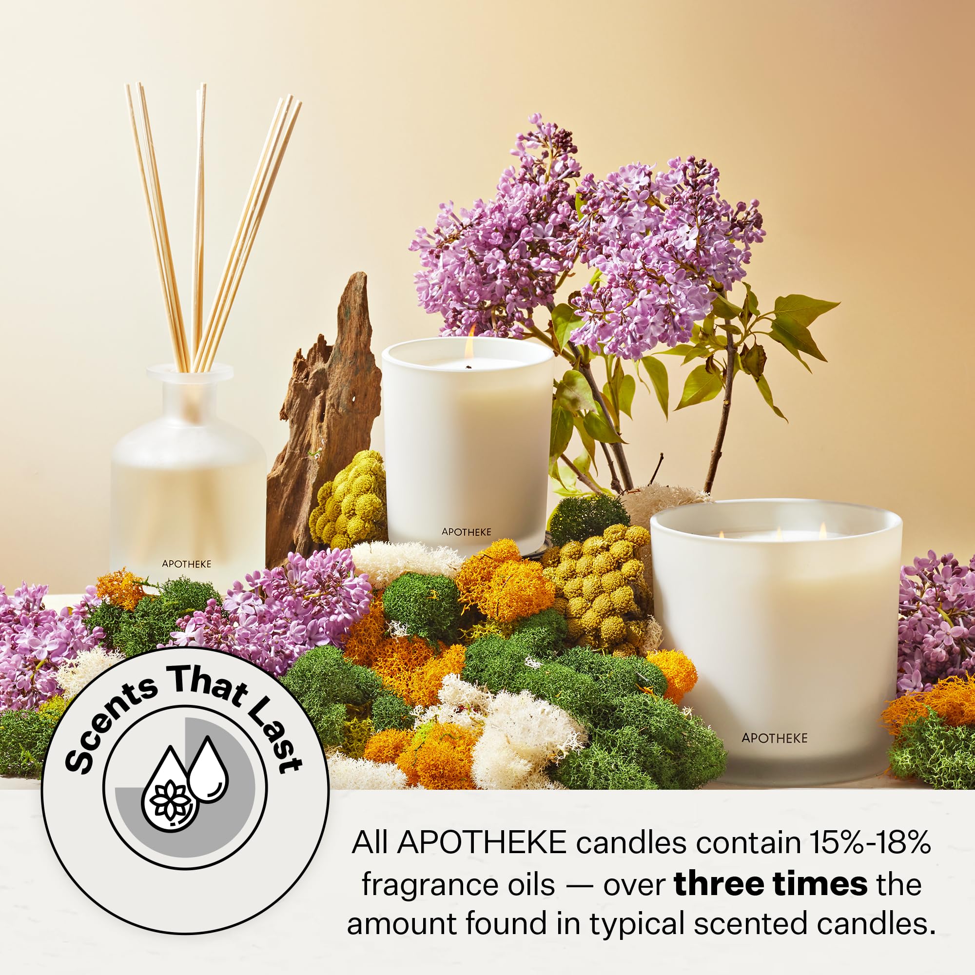 APOTHEKE Signature Wild Mint Ivy candle fragrance diffusion fills rooms with herbal notes.
