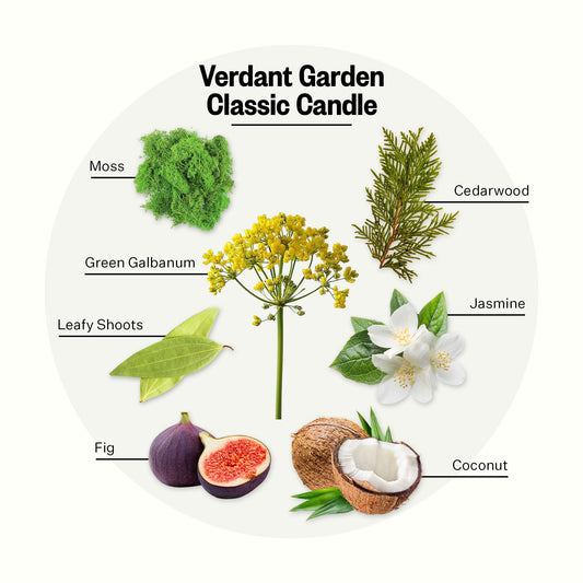 APOTHEKE Verdant Garden wax close-up shows a premium soy blend for clean burning.